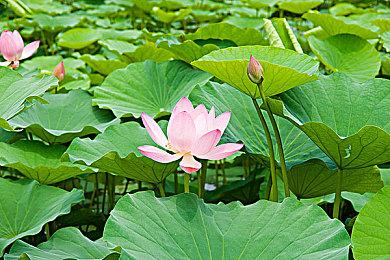 GSC宣布要为初代《潜行者》三部作品发布更新